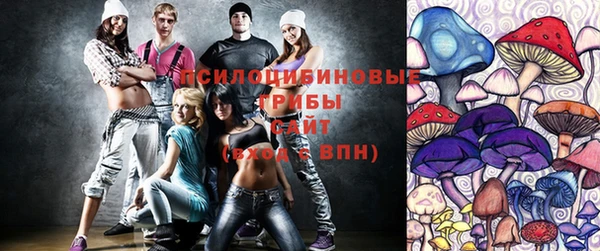 ECSTASY Алзамай